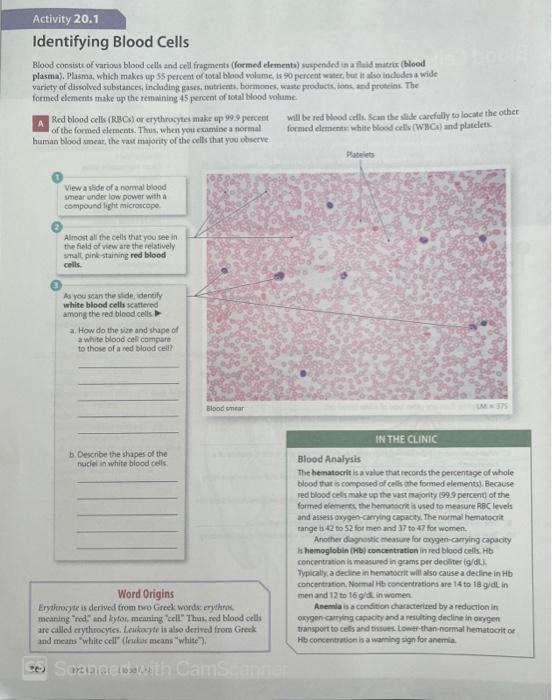 Activity 20 1 Identifying Blood Cells Blood Consists Of Various Blood Cells And Cell Fragments Formed Elements Suspend 1