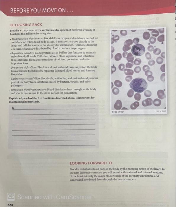 Before You Move On Looking Back Blood Is A Component Of The Cardiovascular System It Performs A Variety Of Functi 1