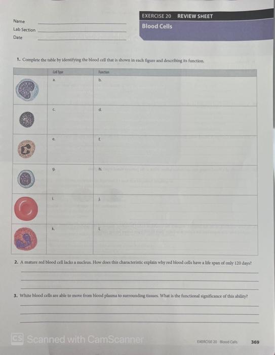 Name Lab Section Date Exercise 20 Review Sheet Blood Cells 1 Complete The Table By Identifying The Blood Cell That Is S 1