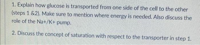 E C 1 Explain How Glucose Is Transported From One Side Of The Cell To The Other Steps 1 2 Make Sure To Mention Wh 2