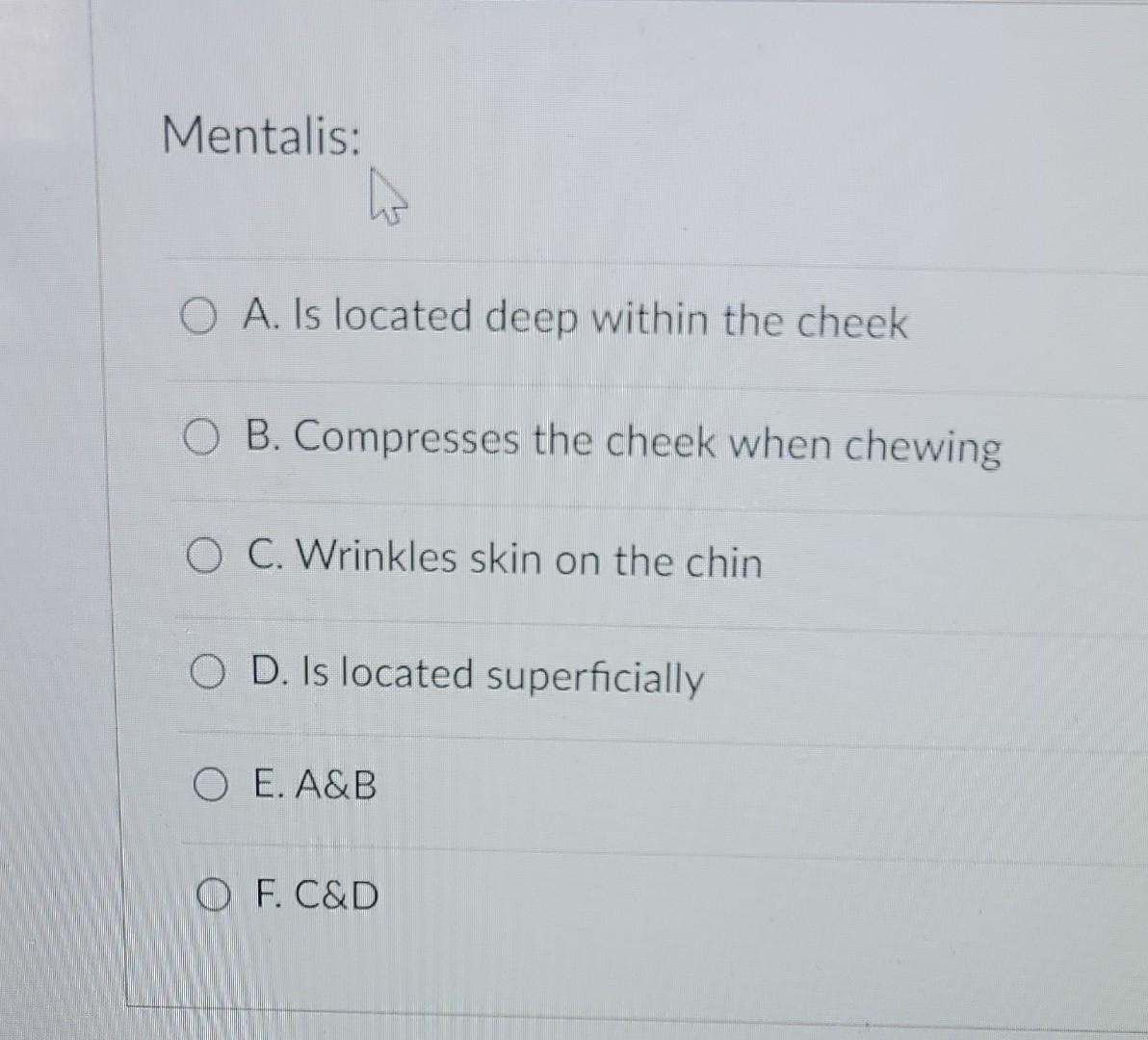 Mentalis O A Is Located Deep Within The Cheek B Compresses The Cheek When Chewing O C Wrinkles Skin On The Chin O D 1