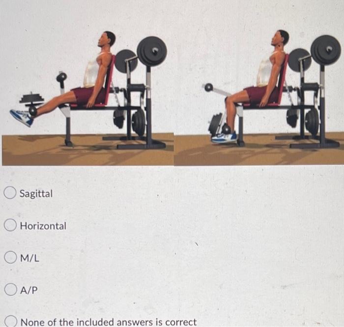 Sagittal Horizontal M L Oa P None Of The Included Answers Is Correct Going From The First To The Second Picture What Ax 1