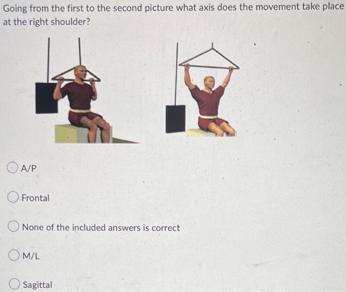 Sagittal Horizontal M L Oa P None Of The Included Answers Is Correct Going From The First To The Second Picture What Ax 2