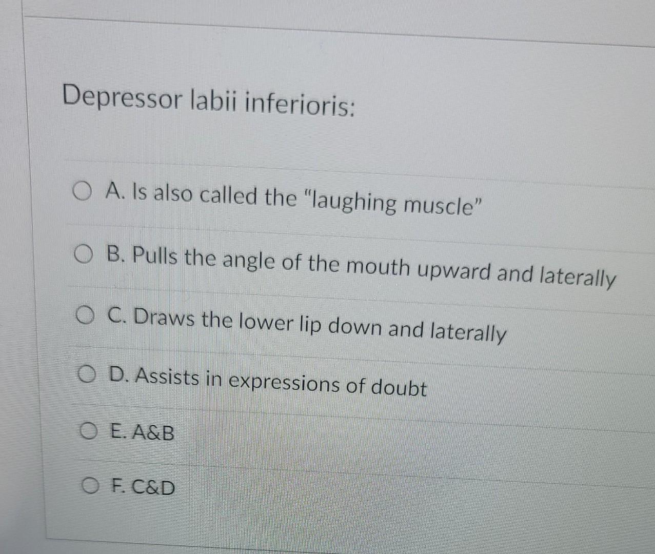Depressor Labii Inferioris O A Is Also Called The Laughing Muscle Ob Pulls The Angle Of The Mouth Upward And Latera 1