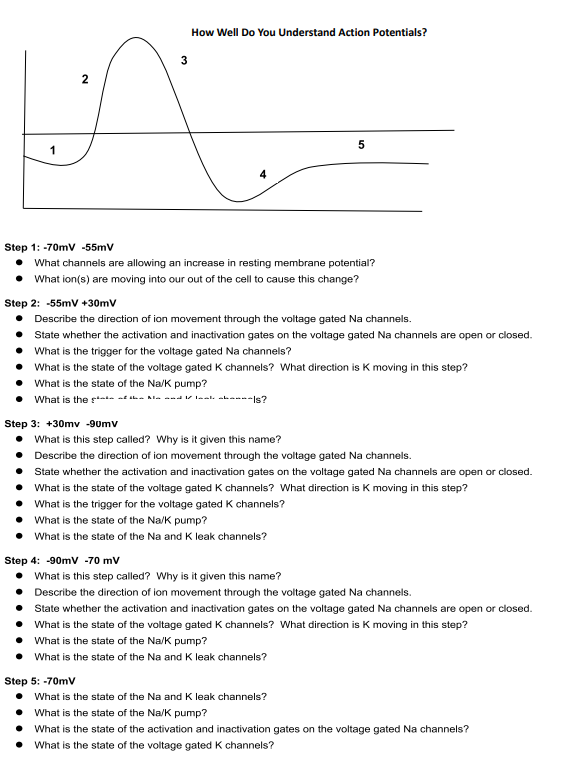 2 How Well Do You Understand Action Potentials Step 1 70mv 55mv What Channels Are Allowing An Increase In Resting Me 1