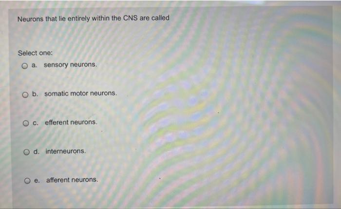 Which Of The Following Statements Is Not True Select One A The Autonomic Division Of The Pns Is Also Called The Visce 3