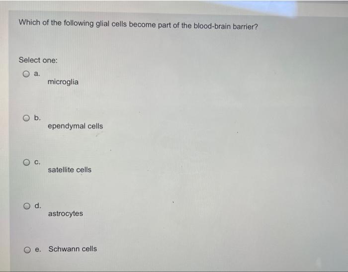 Which Of The Following Statements Is Not True Select One A The Autonomic Division Of The Pns Is Also Called The Visce 6