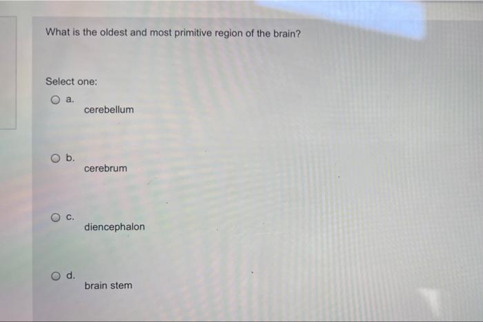 What Is The Oldest And Most Primitive Region Of The Brain Select One A O B O D Cerebellum Cerebrum Diencephalon Bra 1