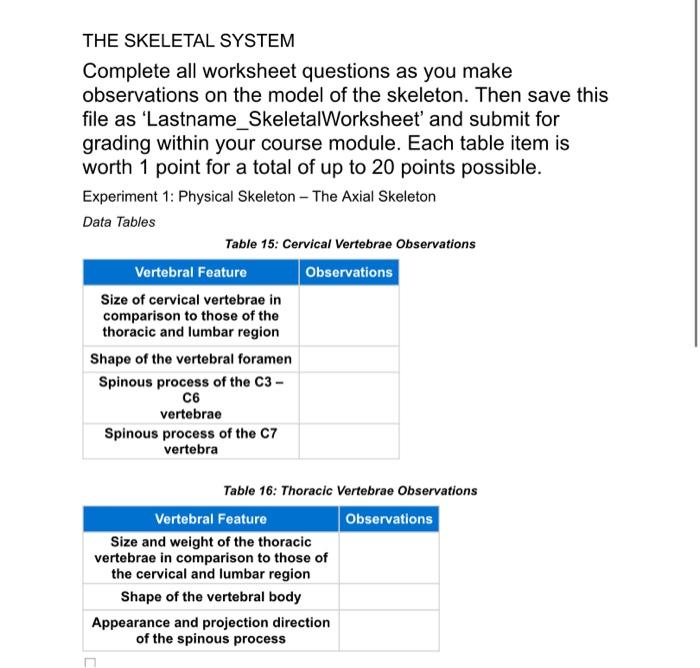 The Skeletal System Complete All Worksheet Questions As You Make Observations On The Model Of The Skeleton Then Save Th 1