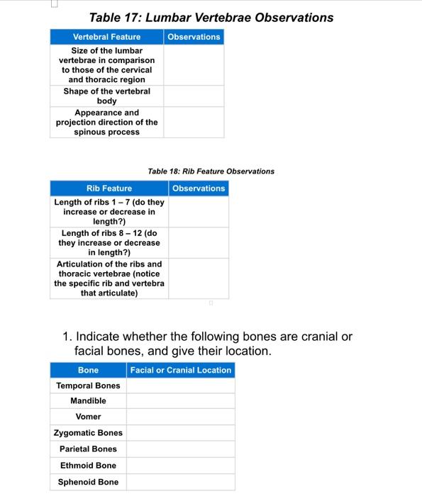 The Skeletal System Complete All Worksheet Questions As You Make Observations On The Model Of The Skeleton Then Save Th 2