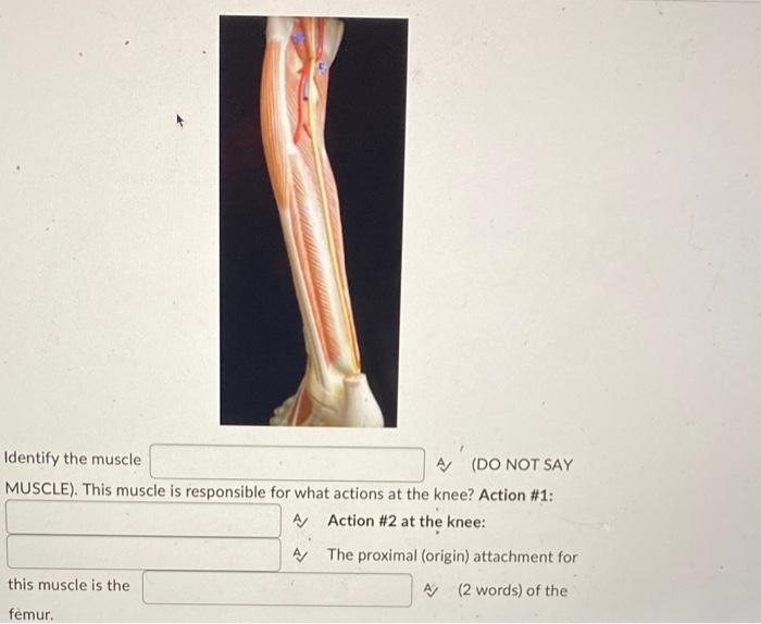 Help Urgent 1