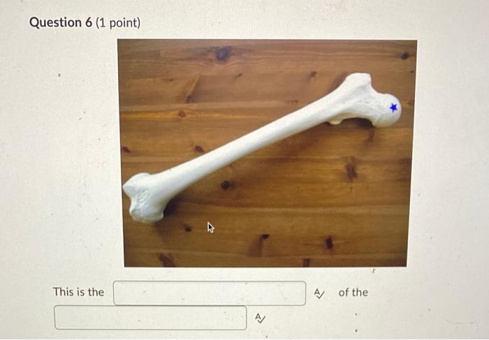 Help Urgent Kinesiology 1