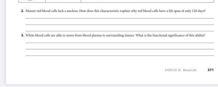 2 Mature Red Blood Cells Lack A Nucleus How Does This Characteristic Explain Why Red Blood Cells Have A Life Span Of O 1