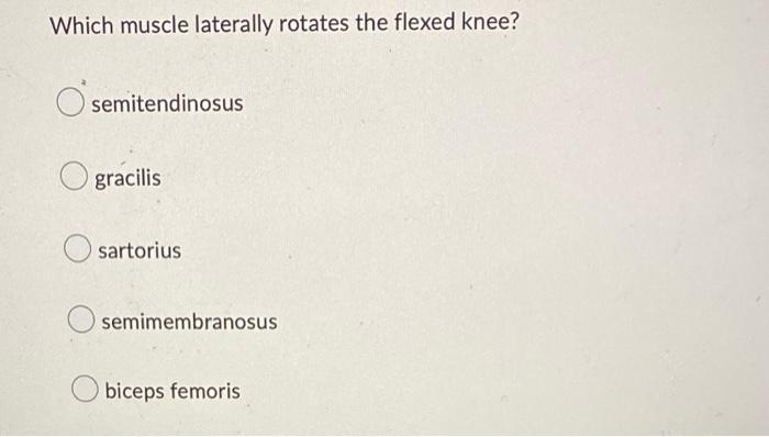 Which Muscle Laterally Rotates The Flexed Knee Semitendinosus Gracilis Osartorius Semimembranosus Biceps Femoris 1