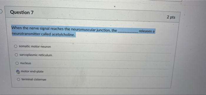 Question 7 When The Nerve Signal Reaches The Neuromuscular Junction The Neurotransmitter Called Acetylcholine Somatic 1