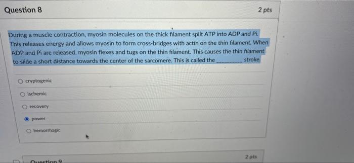 Question 8 During A Muscle Contraction Myosin Molecules On The Thick Filament Split Atp Into Adp And Pi This Releases 1