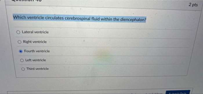 Which Ventricle Circulates Cerebrospinal Fluid Within The Diencephalon O Lateral Ventricle Right Ventricle Fourth Ventr 1