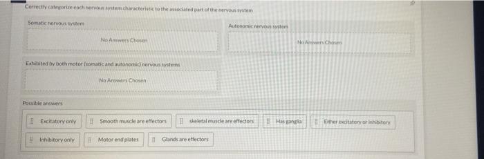 Correctly Categorize Each Nervous System Characteristic To The Associated Part Of The Nervous System Somatic Nervous Sys 1