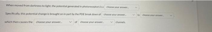 When Moved From Darkness To Light The Potential Generated In Photoreceptors Is A Choose Your Answer Specifically 1