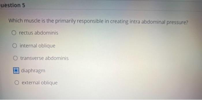 Uestion 5 Which Muscle Is The Primarily Responsible In Creating Intra Abdominal Pressure O Rectus Abdominis O Internal 1