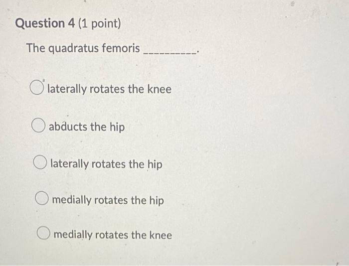 Question 4 1 Point The Quadratus Femoris Laterally Rotates The Knee Abducts The Hip Olaterally Rotates The Hip Mediall 1