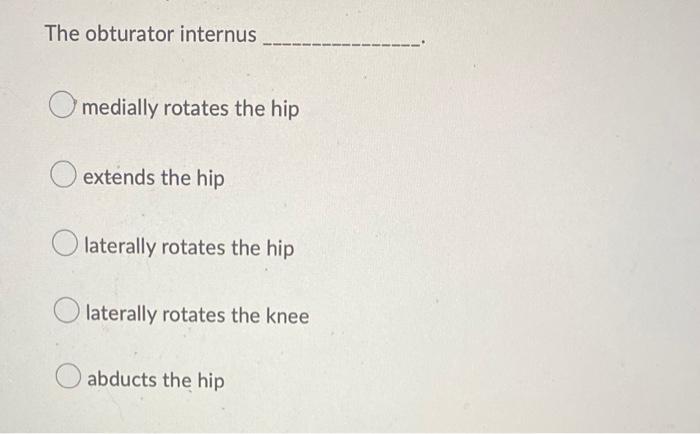 The Obturator Internus Medially Rotates The Hip Extends The Hip Olaterally Rotates The Hip Olaterally Rotates The Knee A 1
