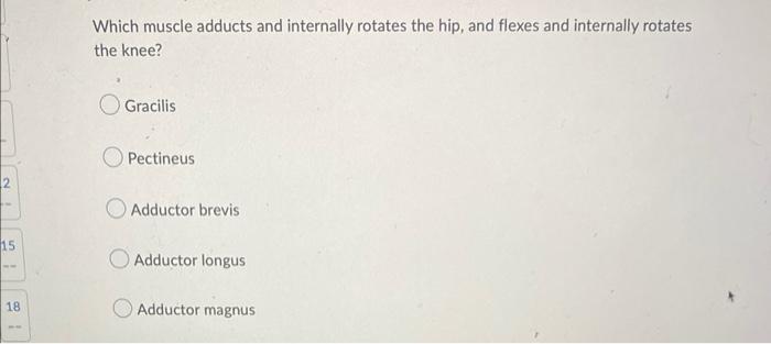 2 15 18 Which Muscle Adducts And Internally Rotates The Hip And Flexes And Internally Rotates The Knee Gracilis Pectin 1