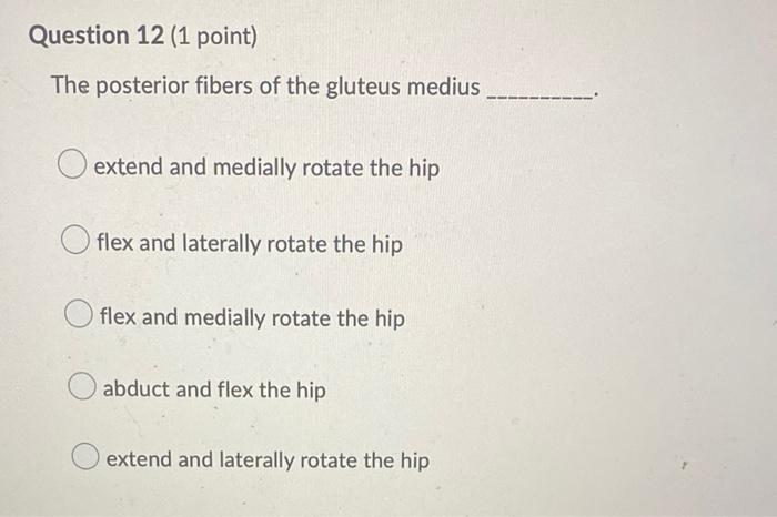 Question 12 1 Point The Posterior Fibers Of The Gluteus Medius O Extend And Medially Rotate The Hip Oflex And Laterall 1