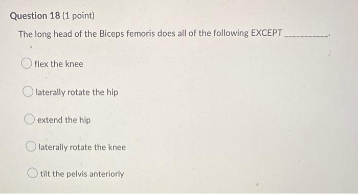 Question 18 1 Point The Long Head Of The Biceps Femoris Does All Of The Following Except Flex The Knee Olaterally Rot 1