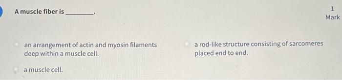 A Muscle Fiber Is An Arrangement Of Actin And Myosin Filaments Deep Within A Muscle Cell A Muscle Cell A Rod Like Stru 1
