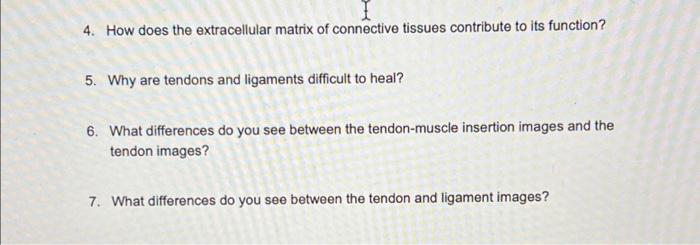 4 How Does The Extracellular Matrix Of Connective Tissues Contribute To Its Function 5 Why Are Tendons And Ligaments 1