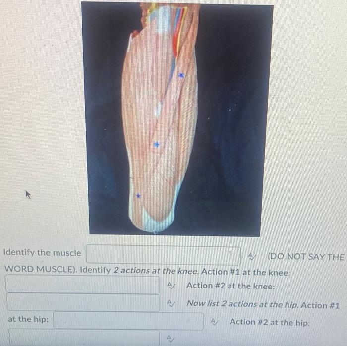 Kinesiology Please Help Answer Fast 1