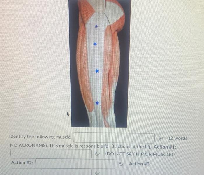 Kinesiology Please Help Answer Fast 1