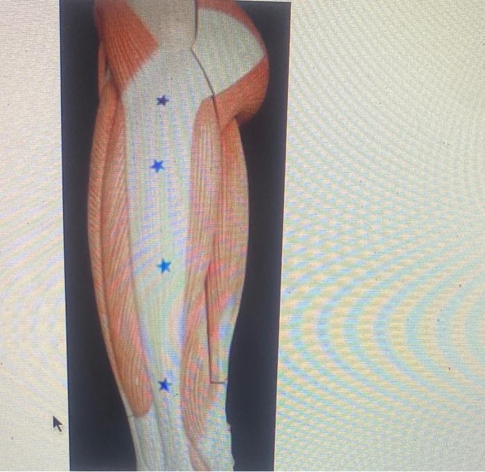 Kinesiology Please Help Answer Fast 2