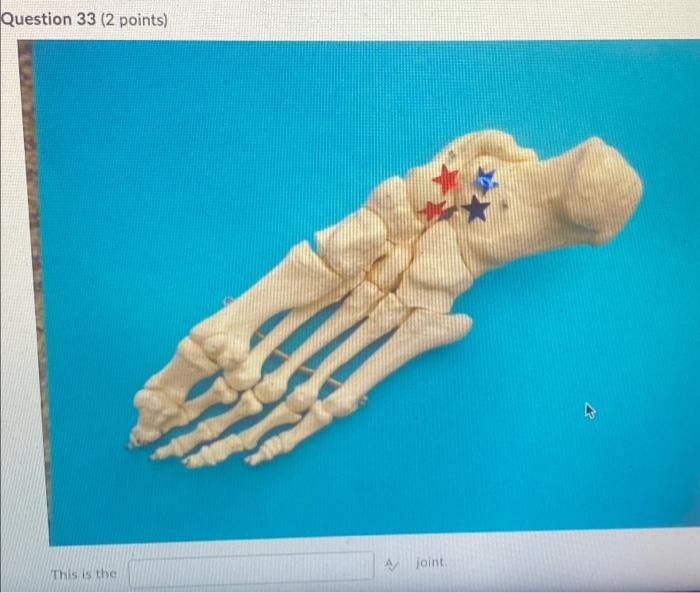 Kinesiology Please Help Answer Fast 1
