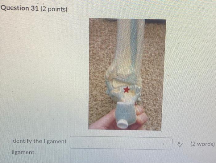 Kinesiology Please Help Answer Fast 1