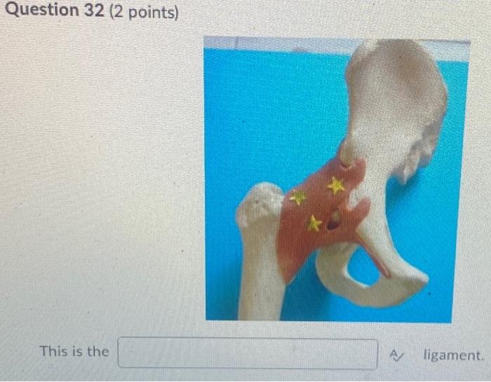 Kinesiology Please Help Answer Fast 2