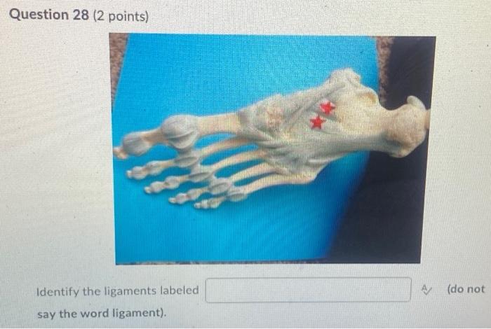 Kinesiology Please Help Answer Fast 1