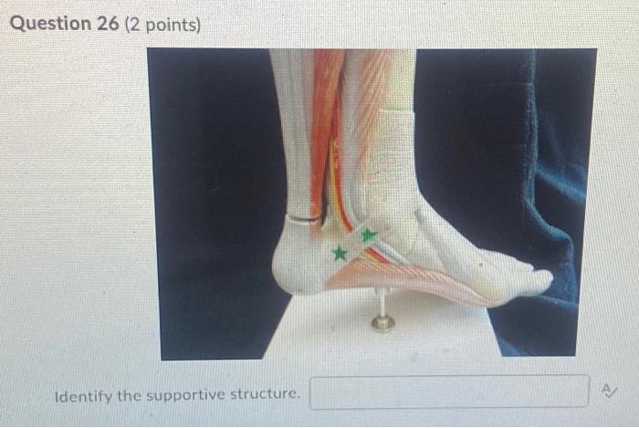 Kinesiology Please Help Answer Fast 2