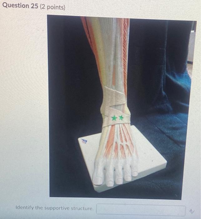 Kinesiology Please Help Answer Fast 1