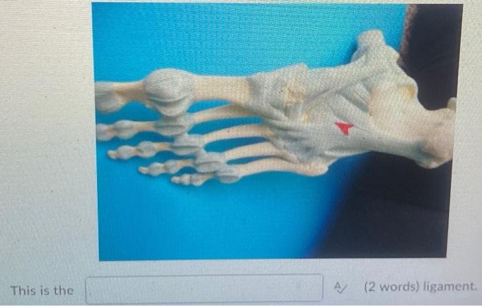 Kinesiology Please Help Answer Fast 2