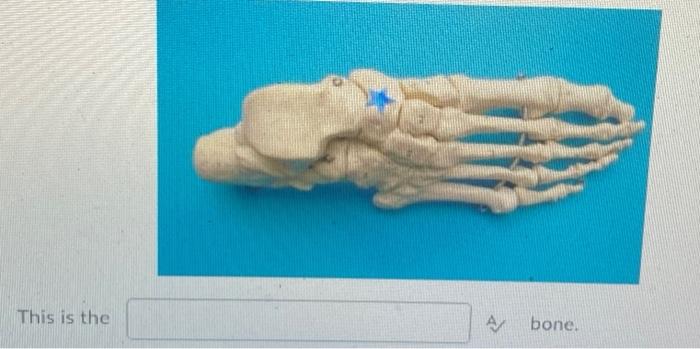 Kinesiology Please Help Answer Fast 2