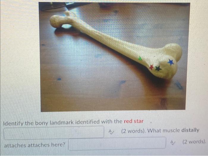 Kinesiology Please Help Answer Fast 2