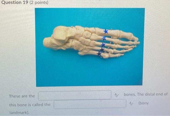 Kinesiology Please Help Answer Fast 1