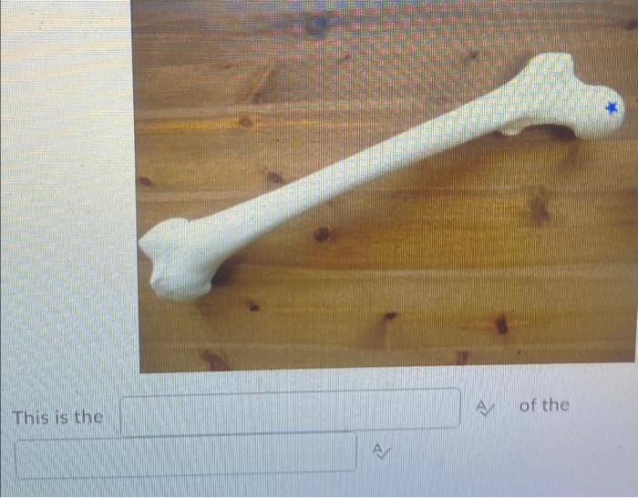 Kinesiology Please Help Answer Fast 2