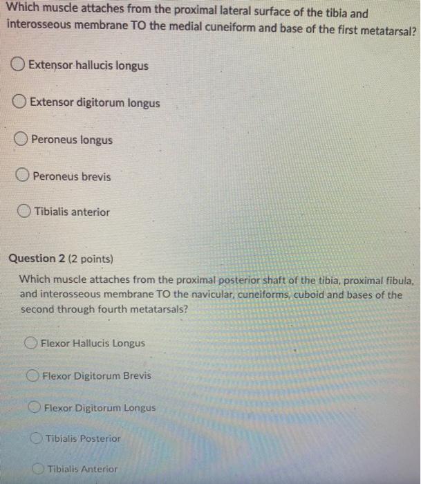 Question 3 2 Points The Extensor Hallucis Brevis Odorsi Flexes The Ankle O Extends And Adducts The First Toe O Dorsi F 2