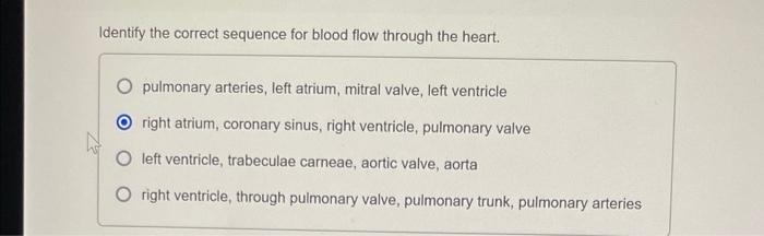 Identify The Correct Sequence For Blood Flow Through The Heart O Pulmonary Arteries Left Atrium Mitral Valve Left Ve 1