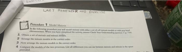 Exer Lab 7 Homework And Exercise Procedure 1 Model Meiosis In The Following Procedure You Will Model Meiosis With Either 1
