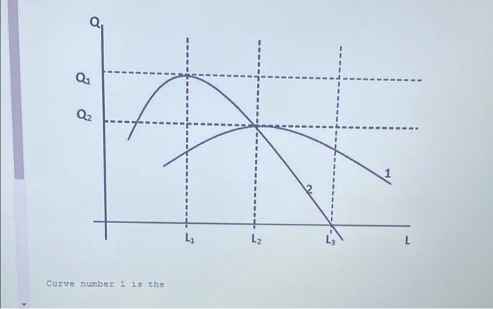 Q Q Curve Number 1 Is The L L2 1 L Curve Number 1 Is The 0 1 Marginal Cost Curve 02 Marginal Product Of Labor Curv 1