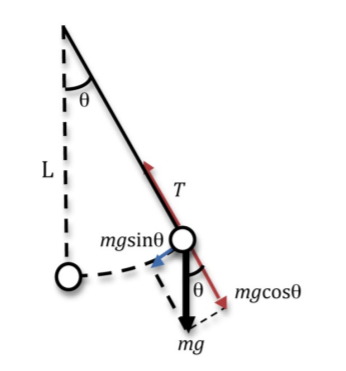 The Pendulum With Massless Rod And Massive Bob With The Mass M Makes Oscillations As It Is Shown In Figure The Length 1